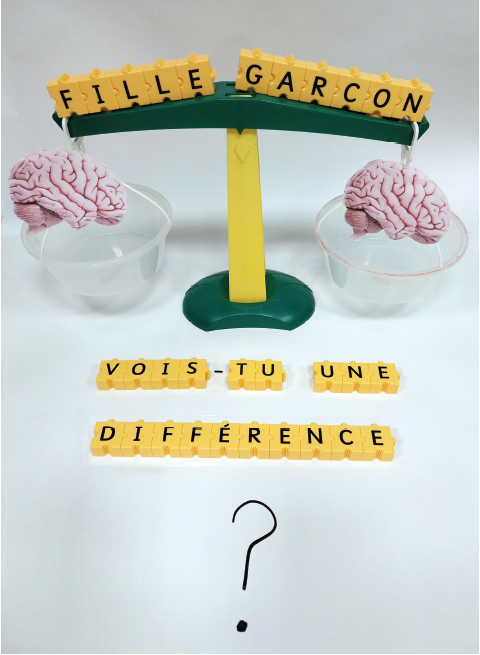 Fille, garçon, vois-tu une différence ?