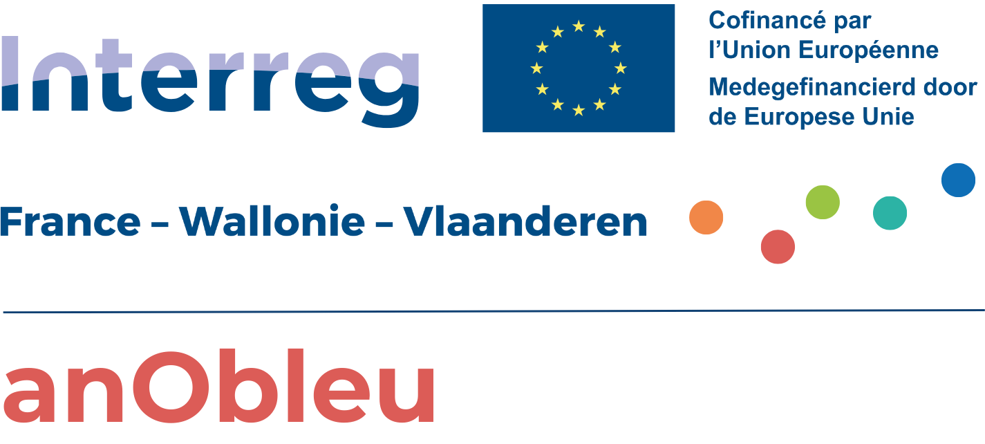 Logo anObleu